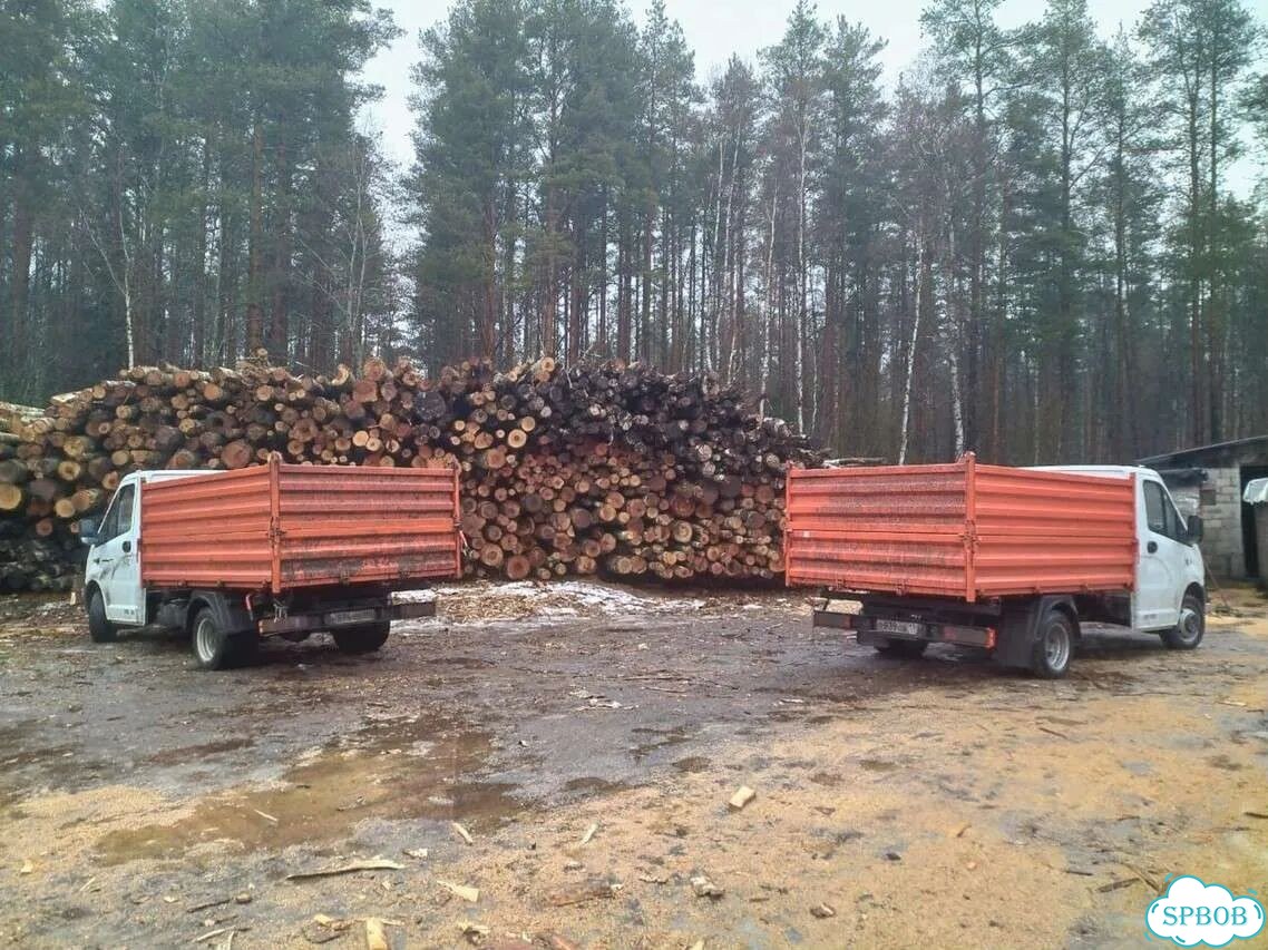 Дрова березовые. Безнал фото 1