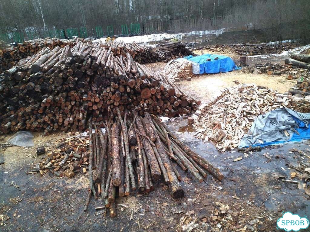 Дрова от производителя фото 1