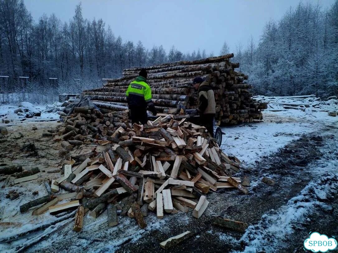 Дрова от производителя фото 10