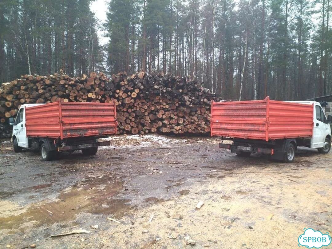 Дрова от производителя фото 3