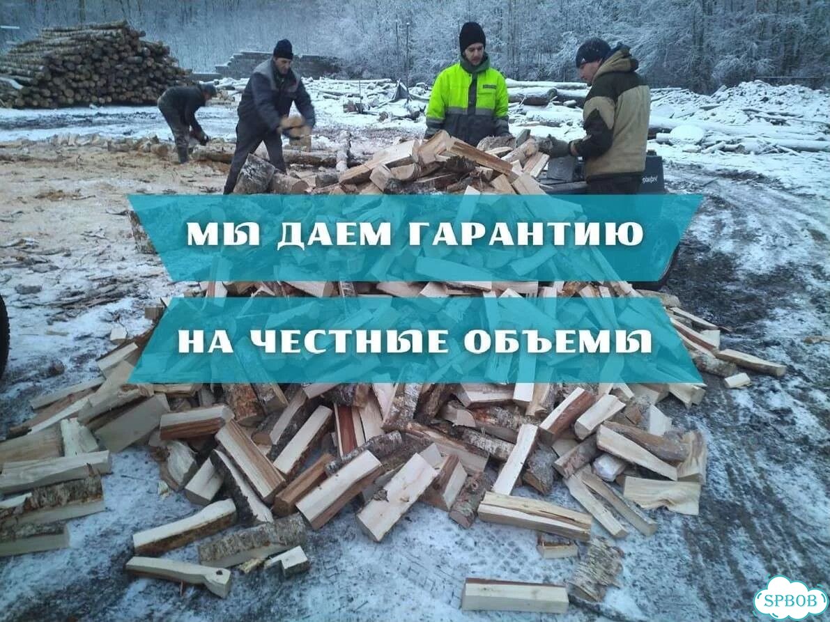 Дрова березовые фото 1