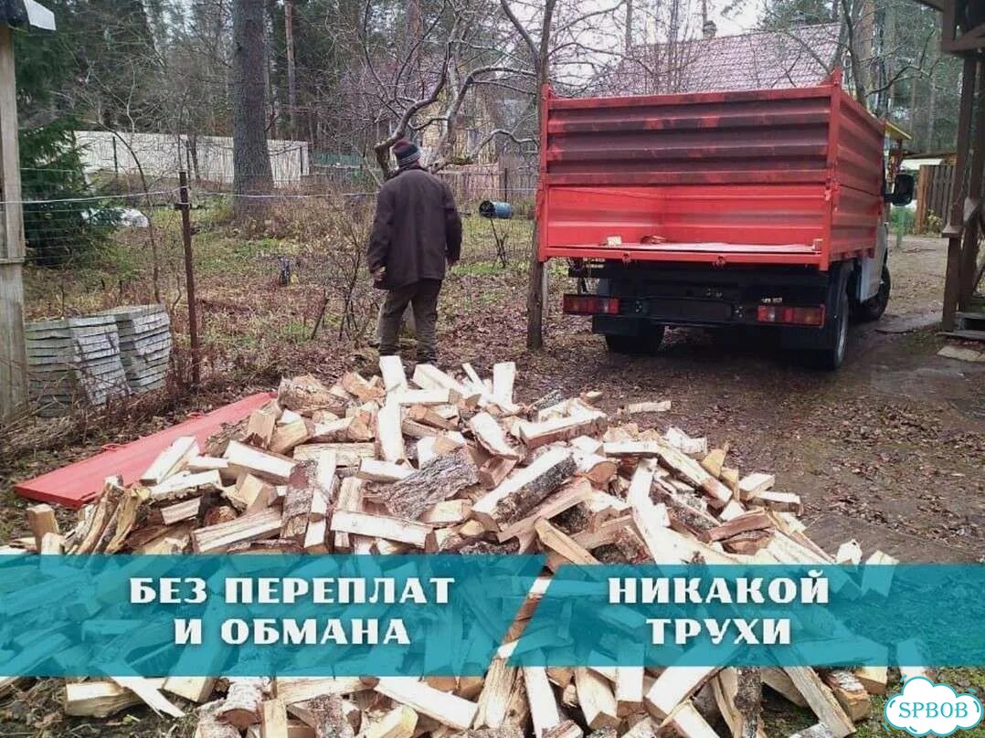 Дрова березовые от производителя фото 1