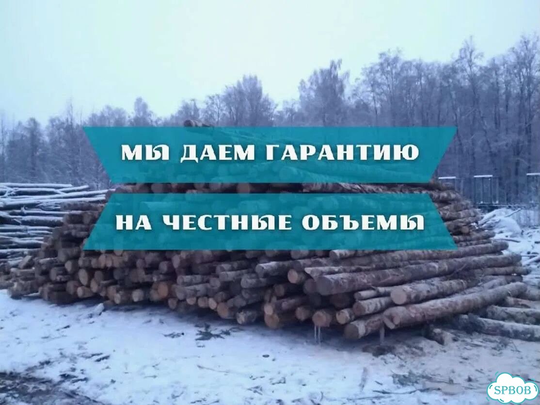 Дрова фото 1