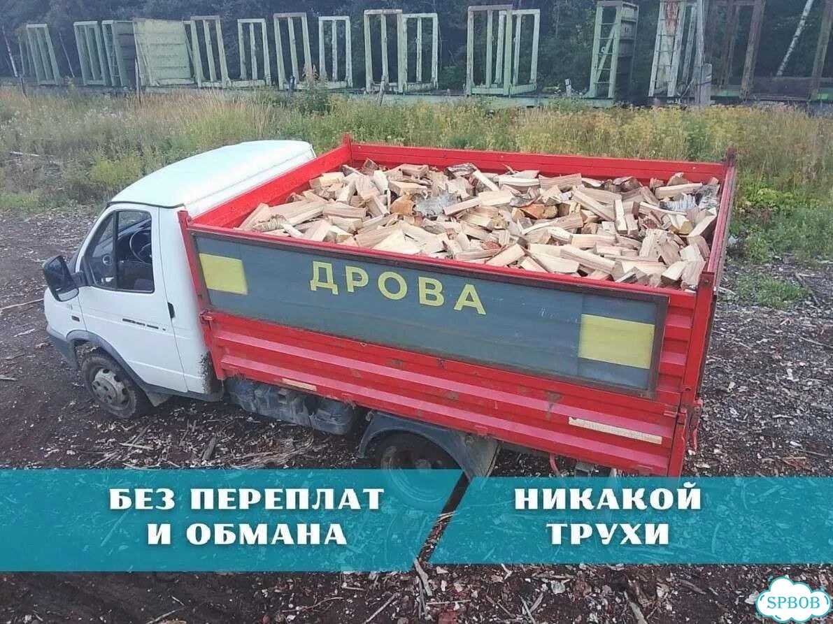 Дрова от производителя фото 1