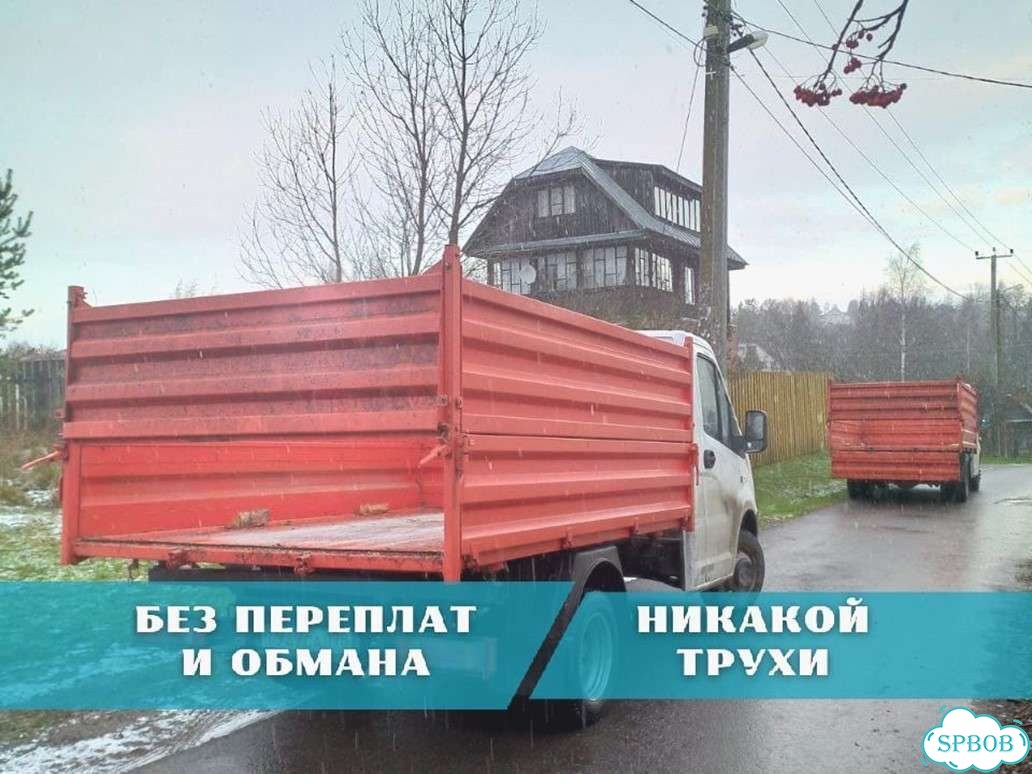 Дрова березовые. Колотые фото 1