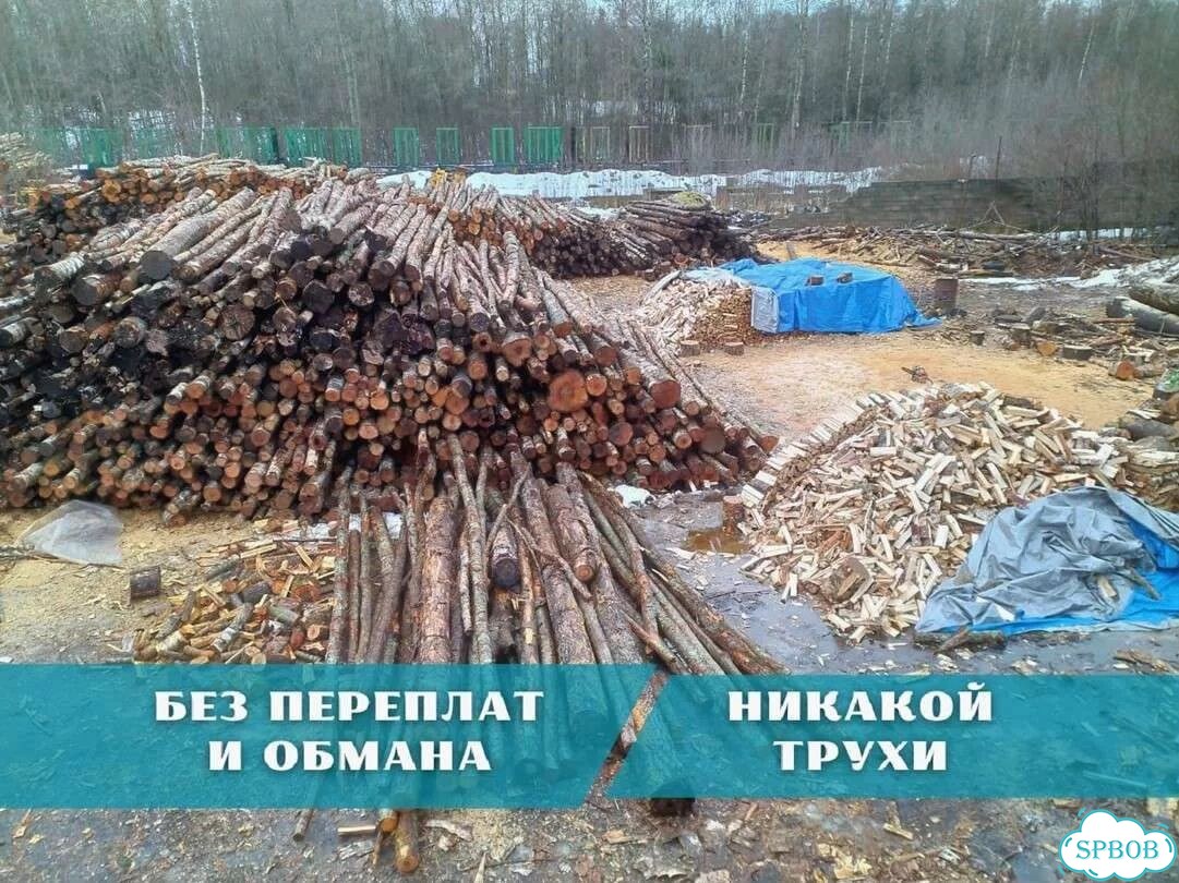 Дрова березовые. Колотые фото 1