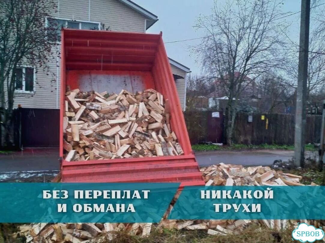 Дрова березовые от производителя фото 1