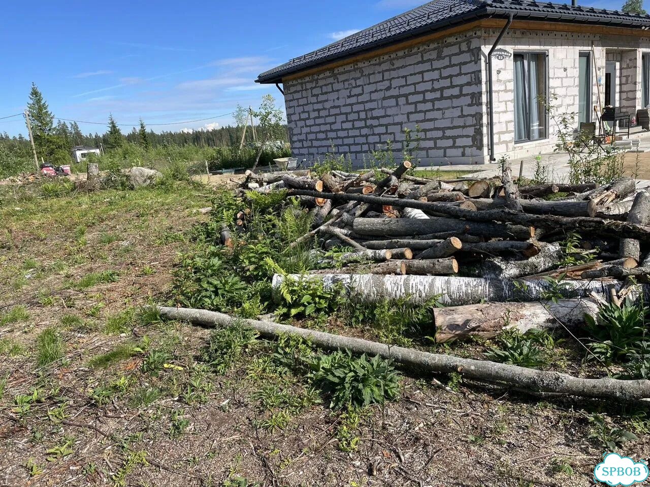 Бревно фото 2