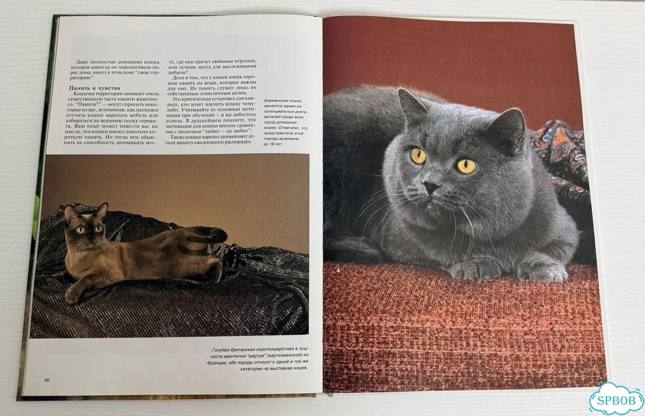 Книги Мир животных фото 8