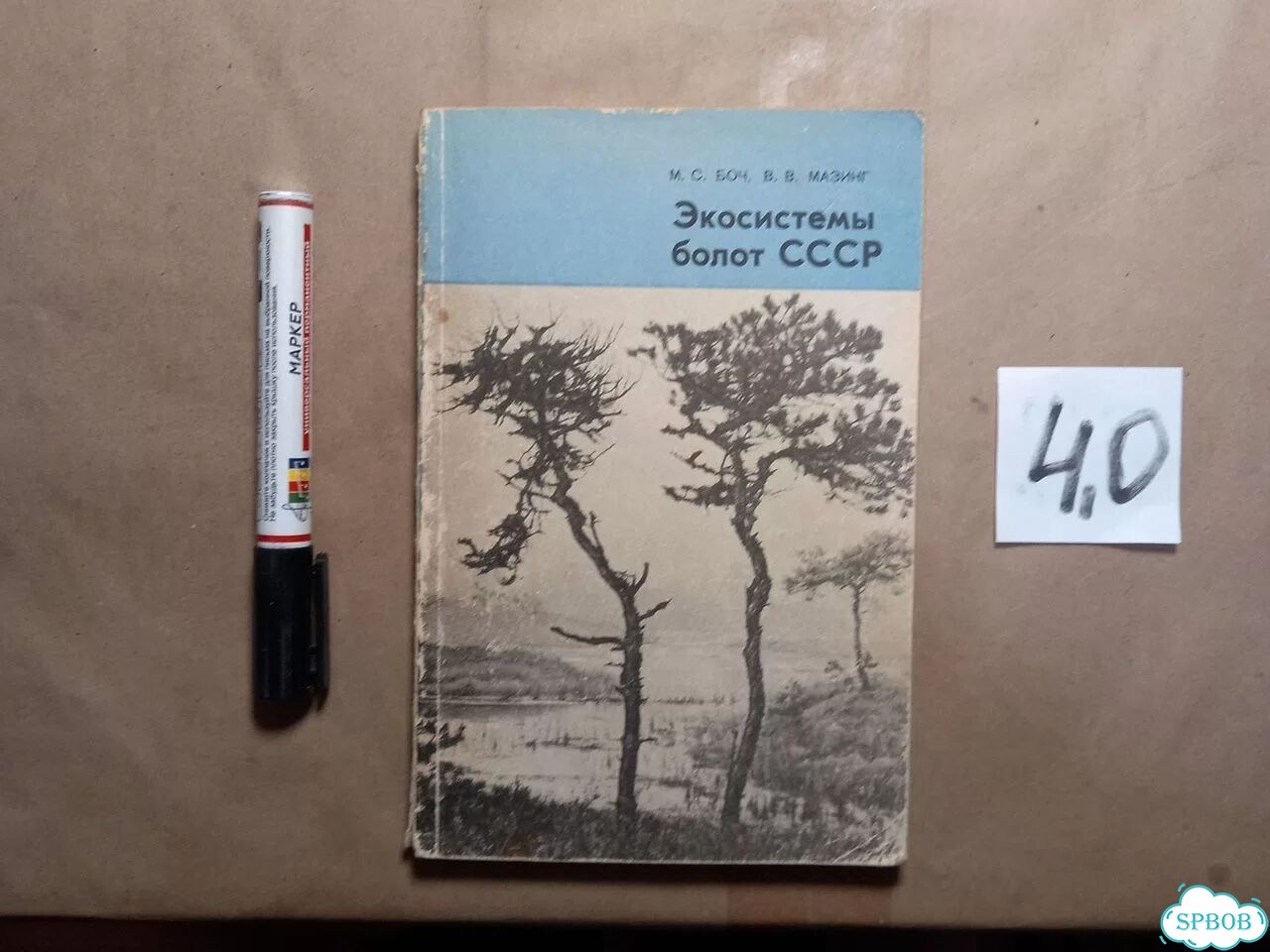 Экосистемы болот СССР фото 1