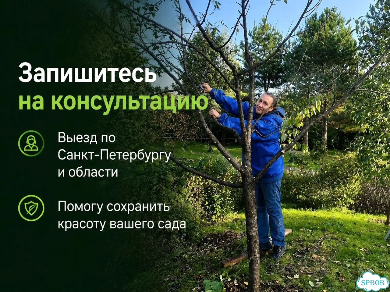 Садовник Уход за газоном и садом фото 10
