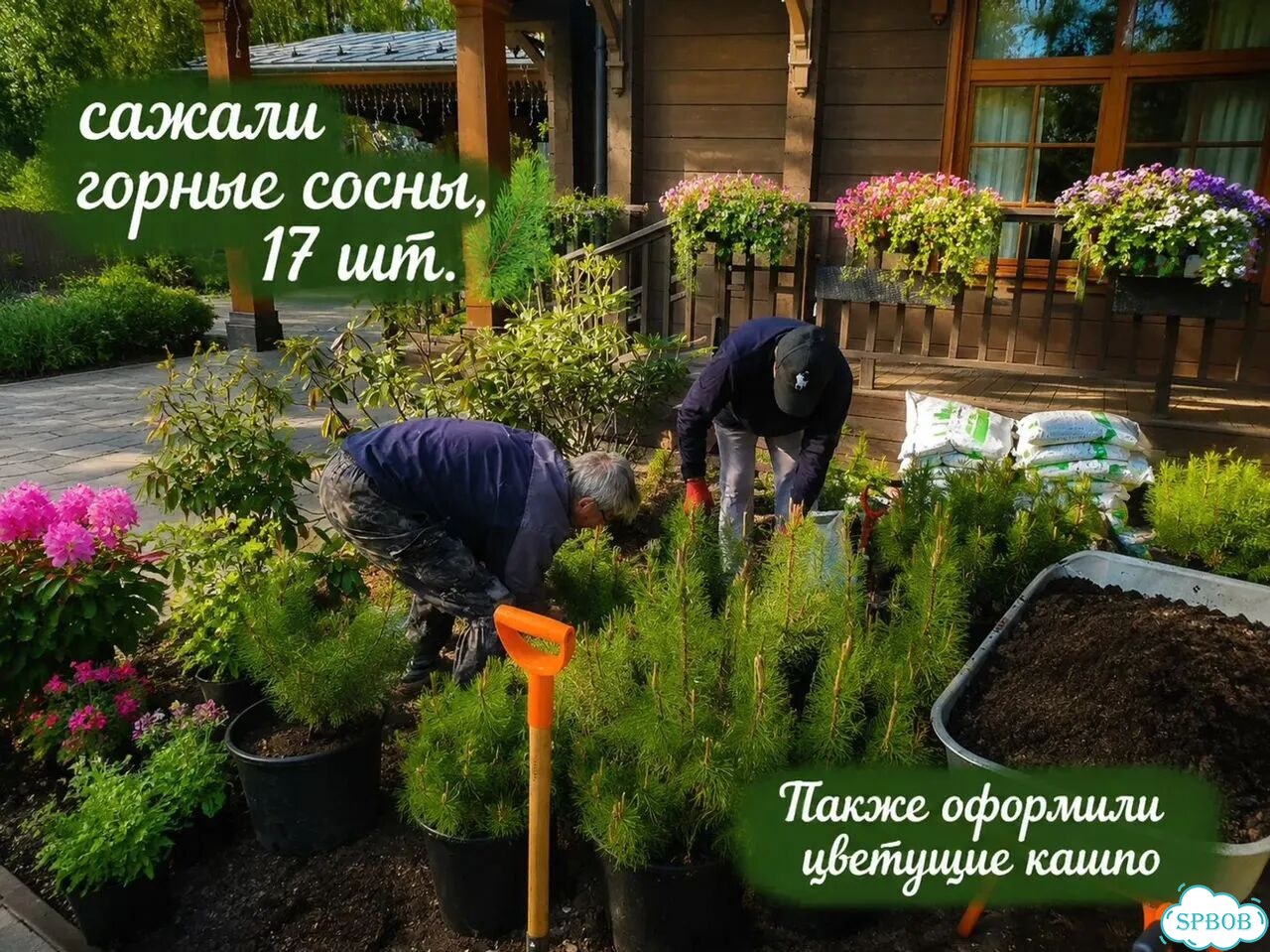 Садовник Уход за газоном и садом фото 7