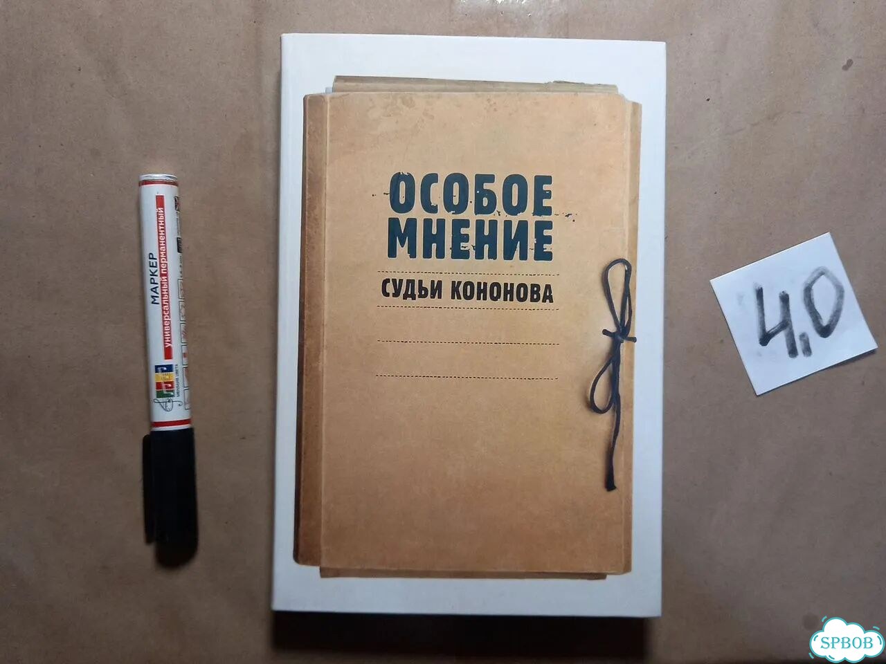 Особое мнение судьи Кононова фото 1