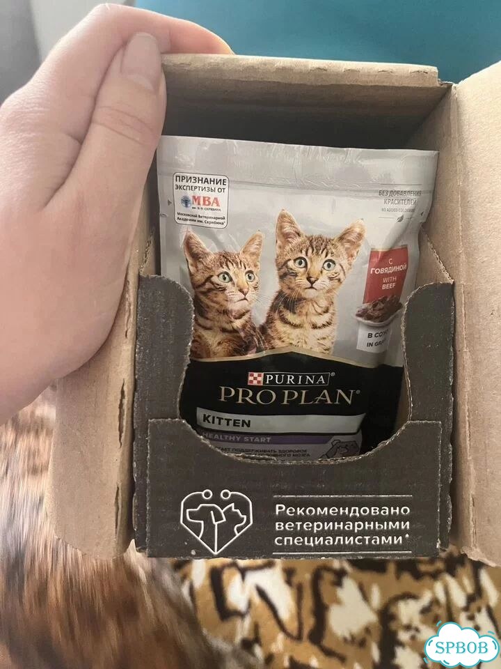 Proplan для котят фото 1