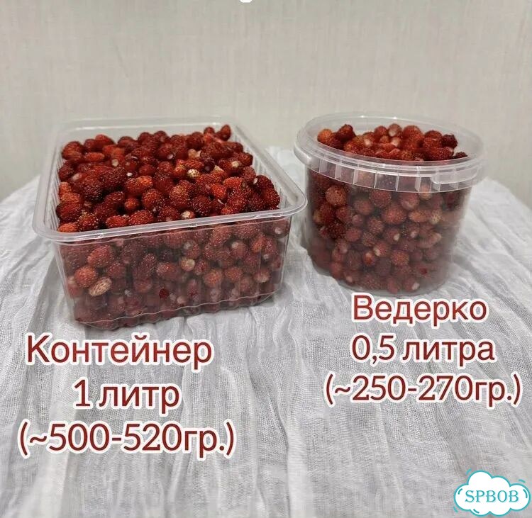Земляника Свежая фото 5