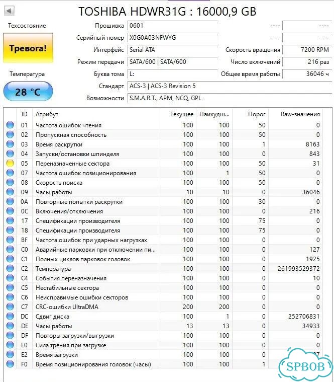 Жесткие диски 16 tb фото 5