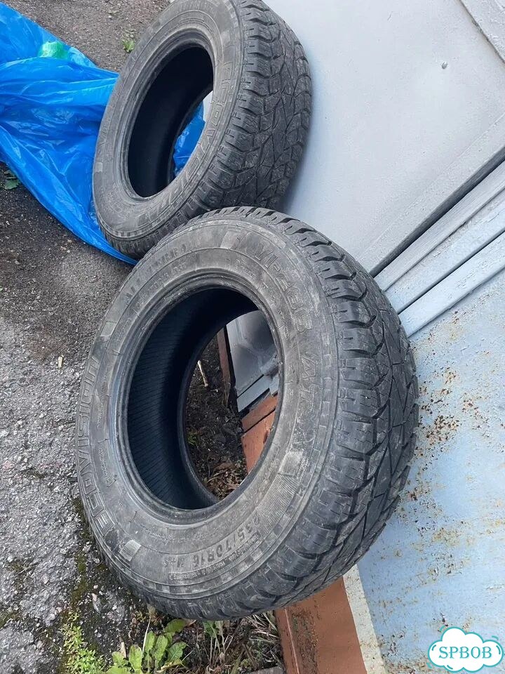 Ecovision VI-286 AT 235/70 R16 фото 4