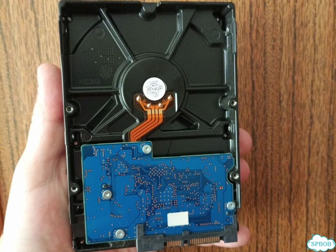 Toshiba P300 1TB фото 2