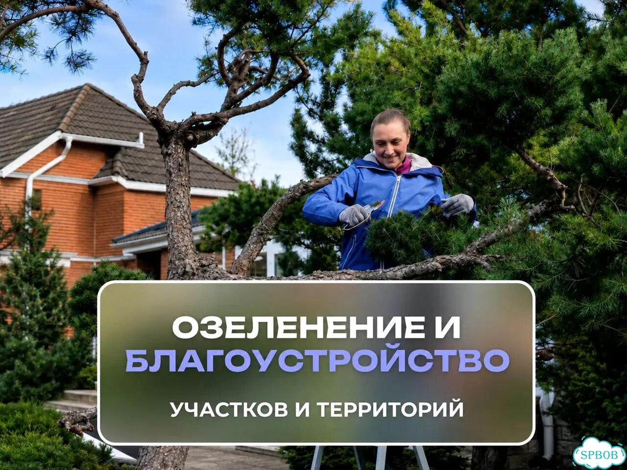 Озеленение и благоустройство участка и территории фото 1