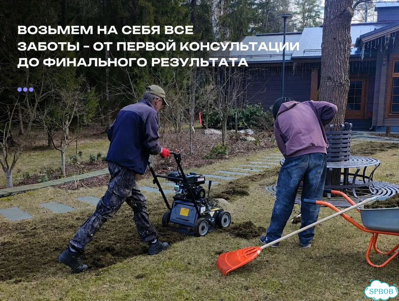 Озеленение и благоустройство участка и территории фото 3