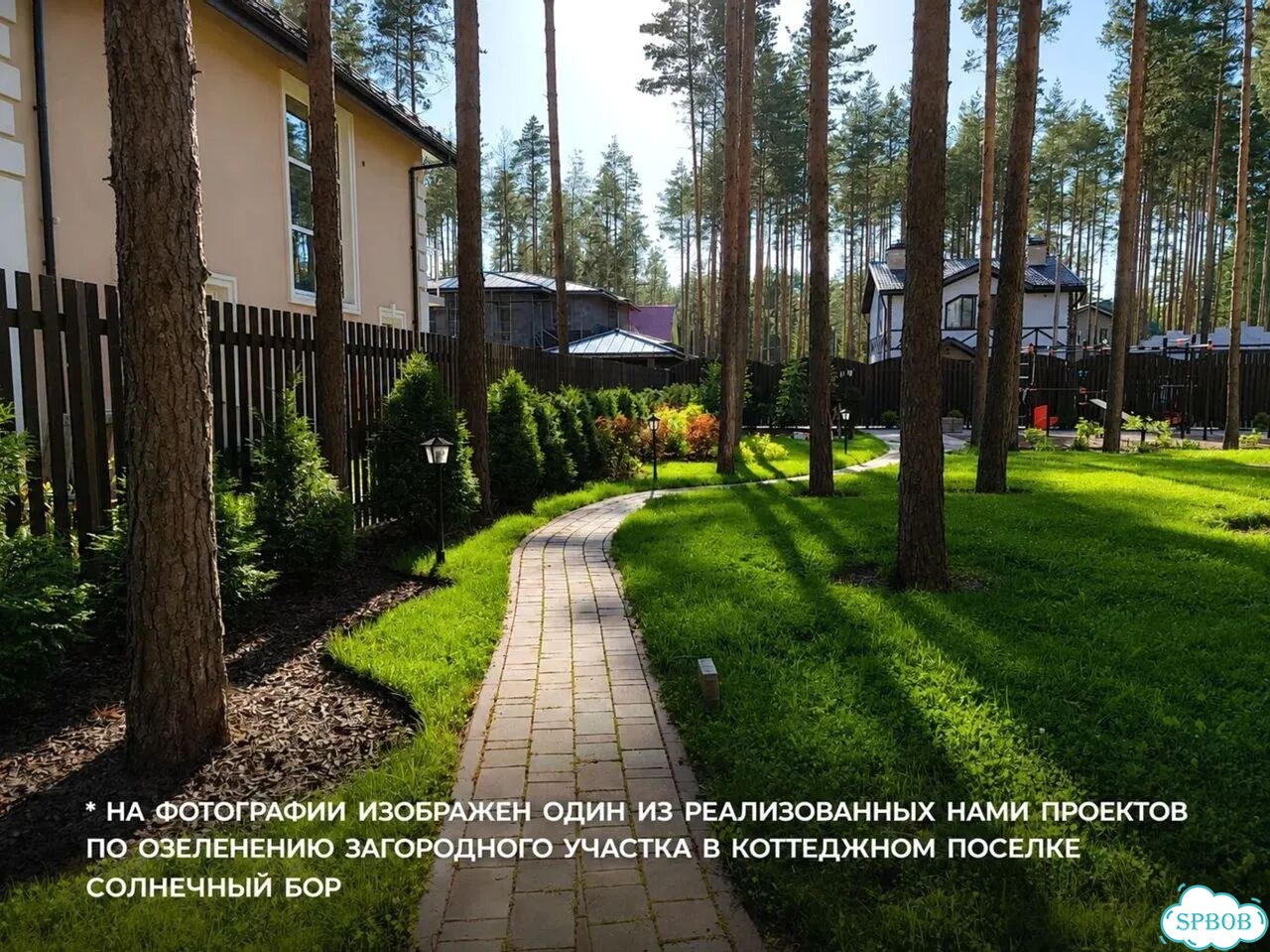 Озеленение и благоустройство участка и территории фото 7