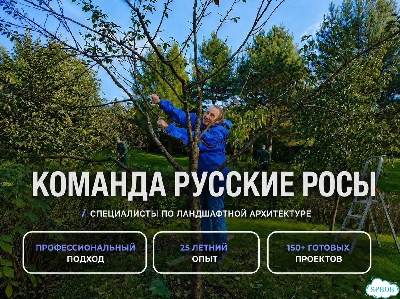 Озеленение и благоустройство участка и территории фото 9