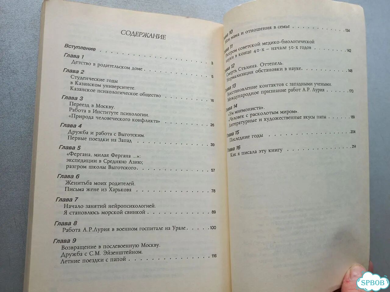 Лурия Елена фото 3