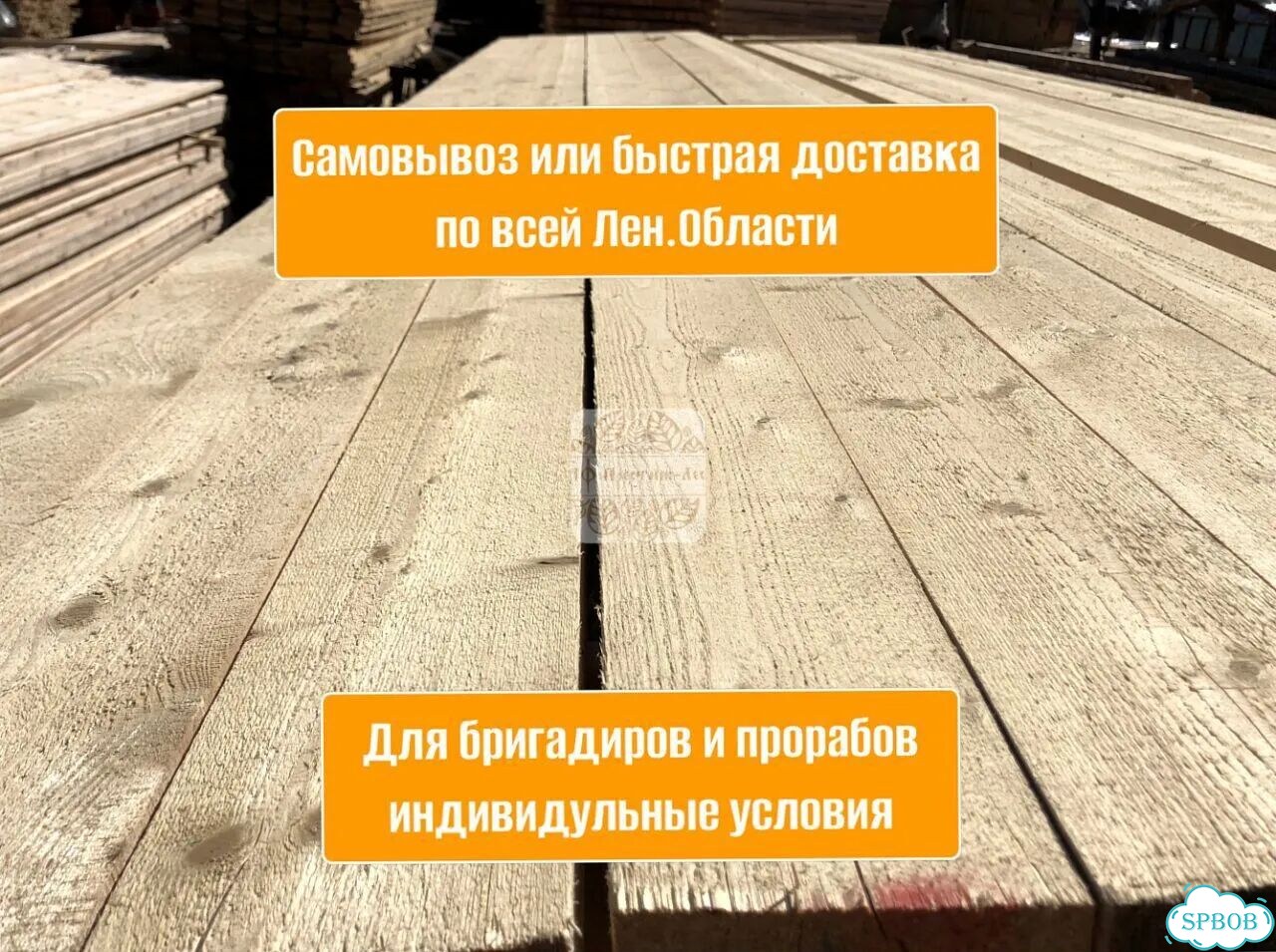 Воспитание собак фото 6