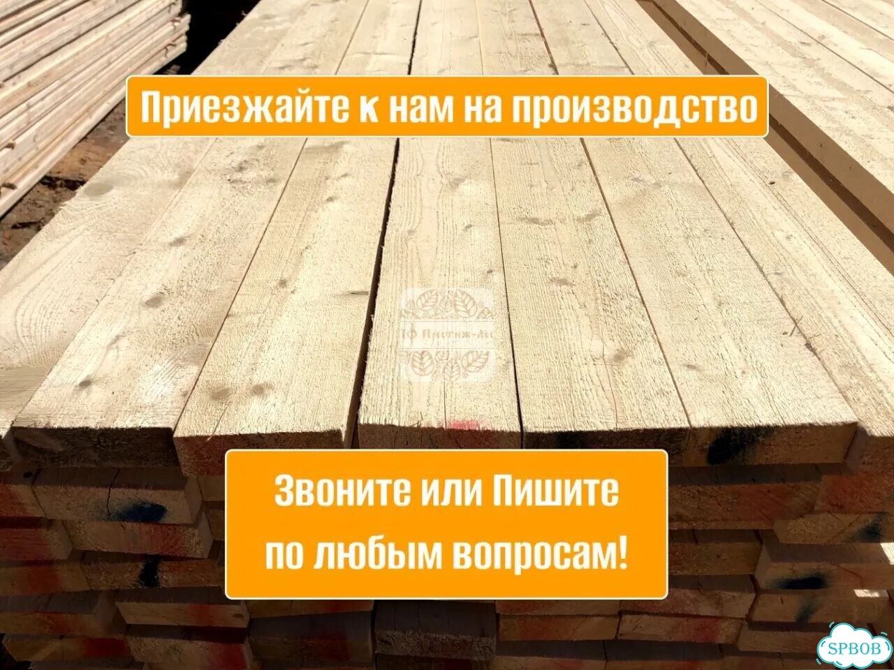 Воспитание собак фото 7