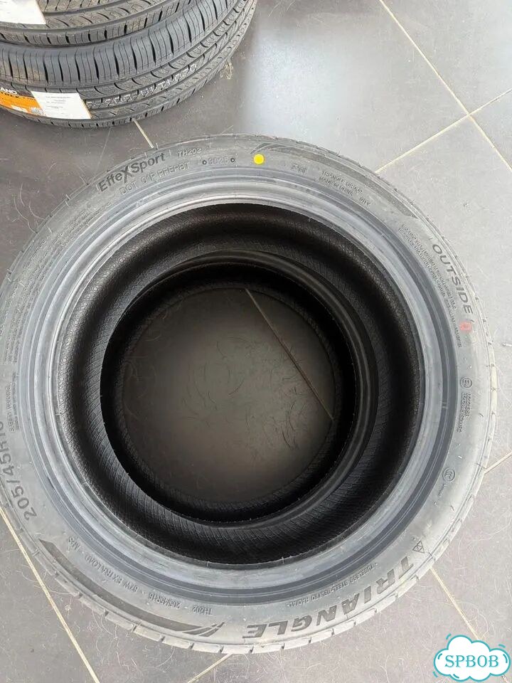 Triangle EffeXSport TH202 205/45 R16 87W фото 3