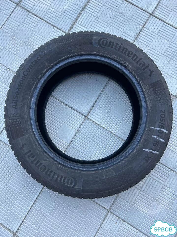 Continental AllSeasonContact 2 205/60 R16 H фото 1