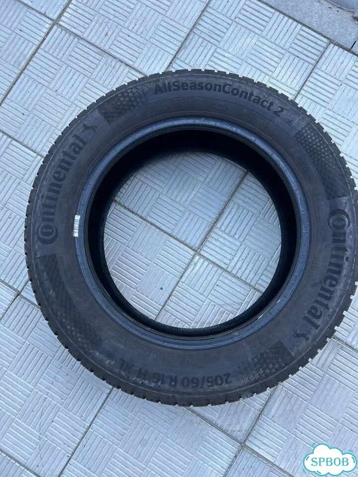 Continental AllSeasonContact 2 205/60 R16 H фото 2
