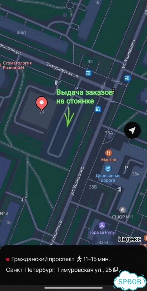 Карликовый сорт бесшипной малины Груви фото 7