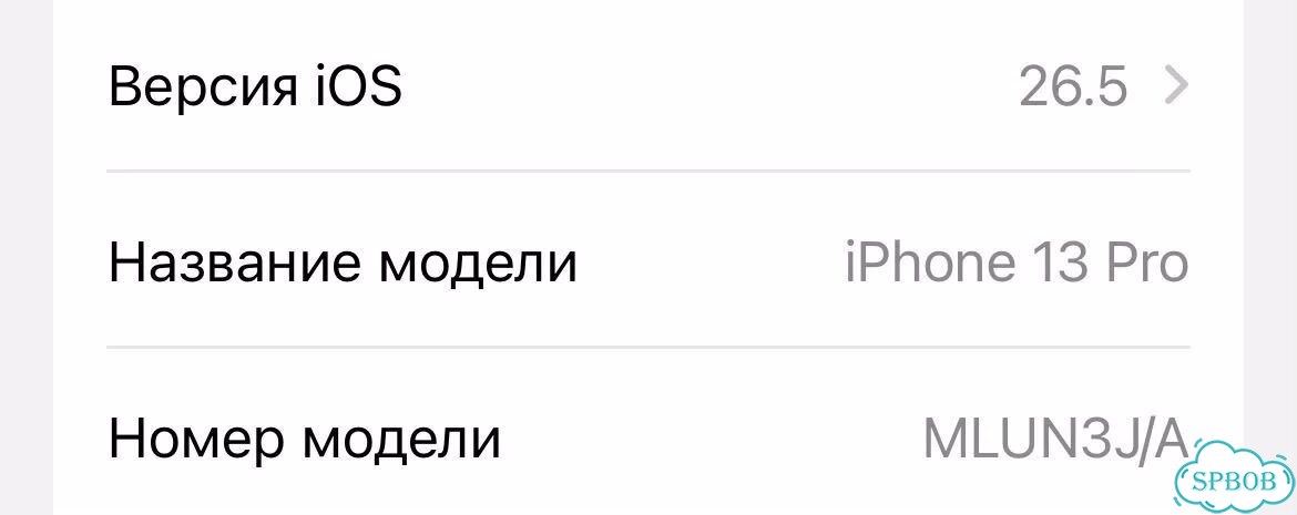 iPhone 13 Pro, 256 ГБ, SIM + eSIM фото 8