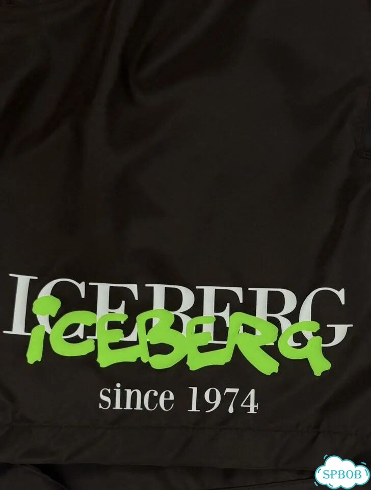 Шорты Iceberb Logo S Оригинал фото 4