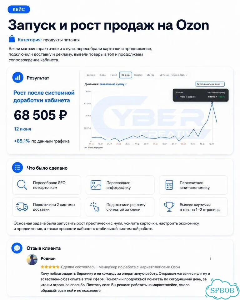 Менеджер Озон вб Яндекс под ключ ведение аудит фото 5