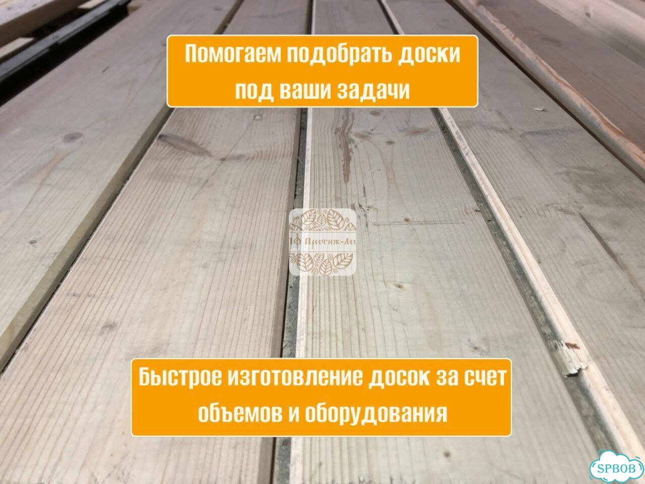 Ирисы бородатые высокие фото 5
