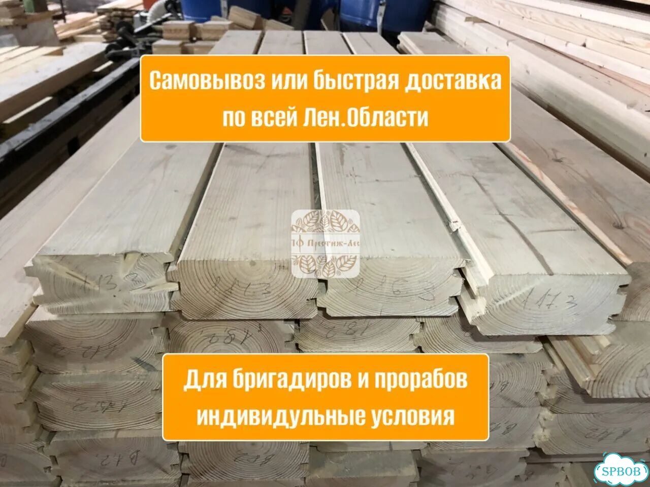 Ирисы бородатые высокие фото 6