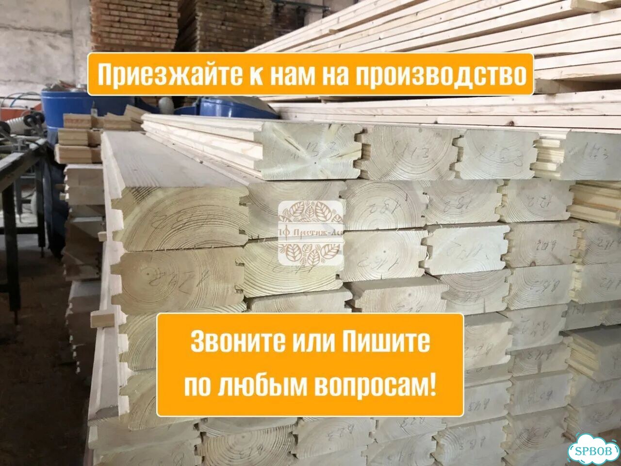 Ирисы бородатые высокие фото 7