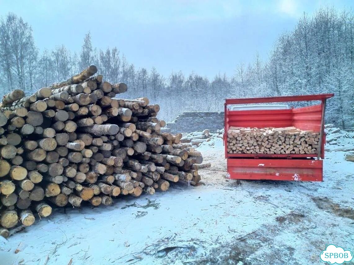 Дрова березовые фото 1