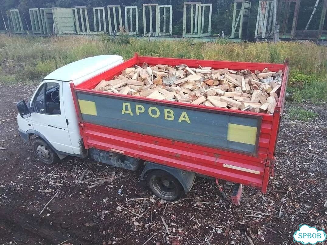Дрова березовые фото 5