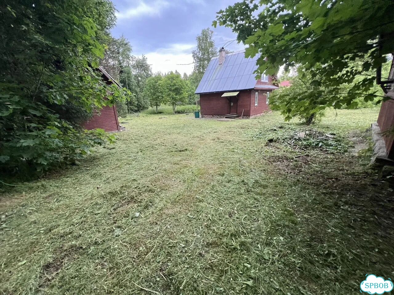 Покос травы триммером фото 2