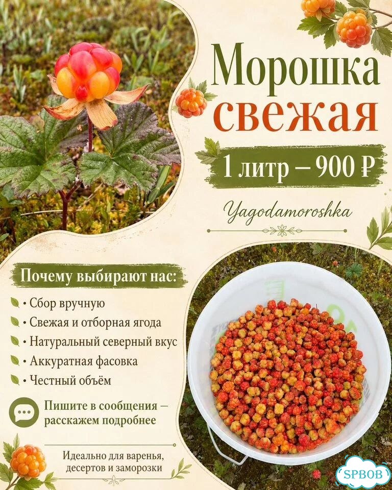 Морошка свежая фото 1