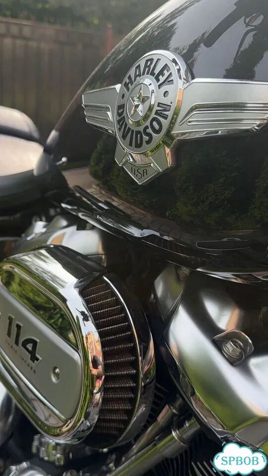 Harley-Davidson Fat Boy, 2018, 12 776 км фото 3