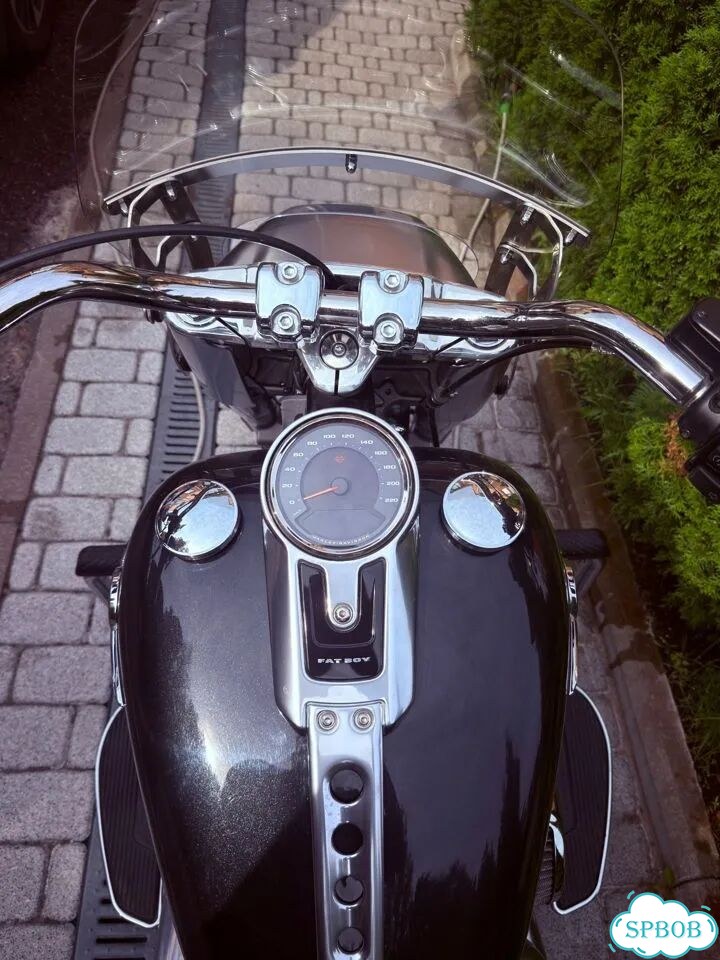 Harley-Davidson Fat Boy, 2018, 12 776 км фото 4