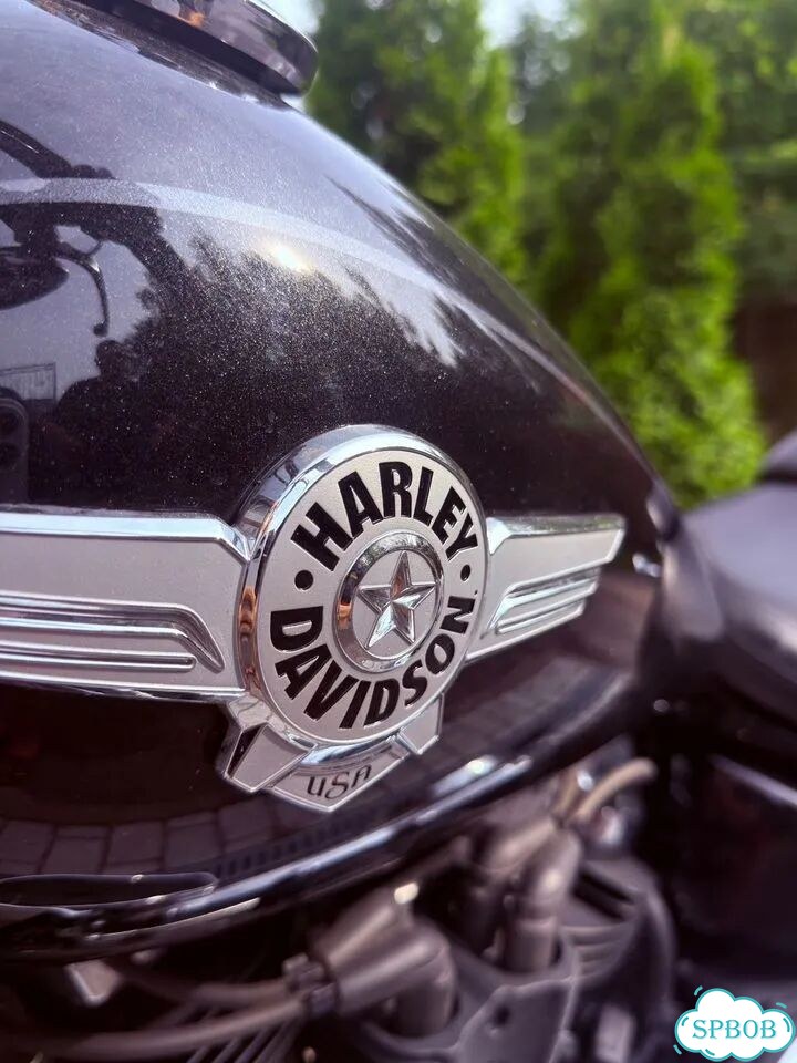 Harley-Davidson Fat Boy, 2018, 12 776 км фото 5