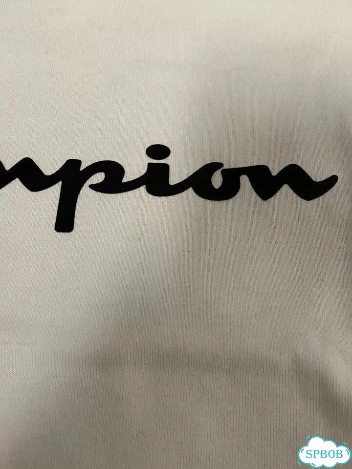 Футболка Rick Owens Champion Archive Vintage фото 4