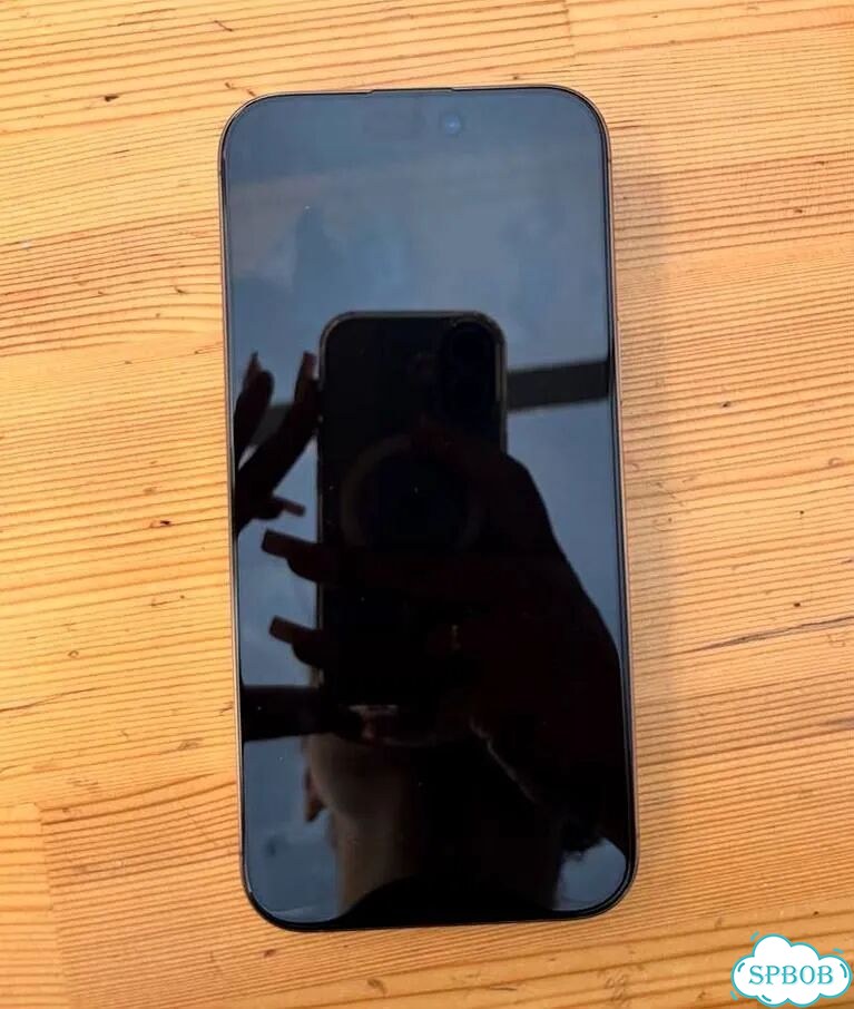 iPhone 16 Pro Max, 256 ГБ, SIM + eSIM фото 1
