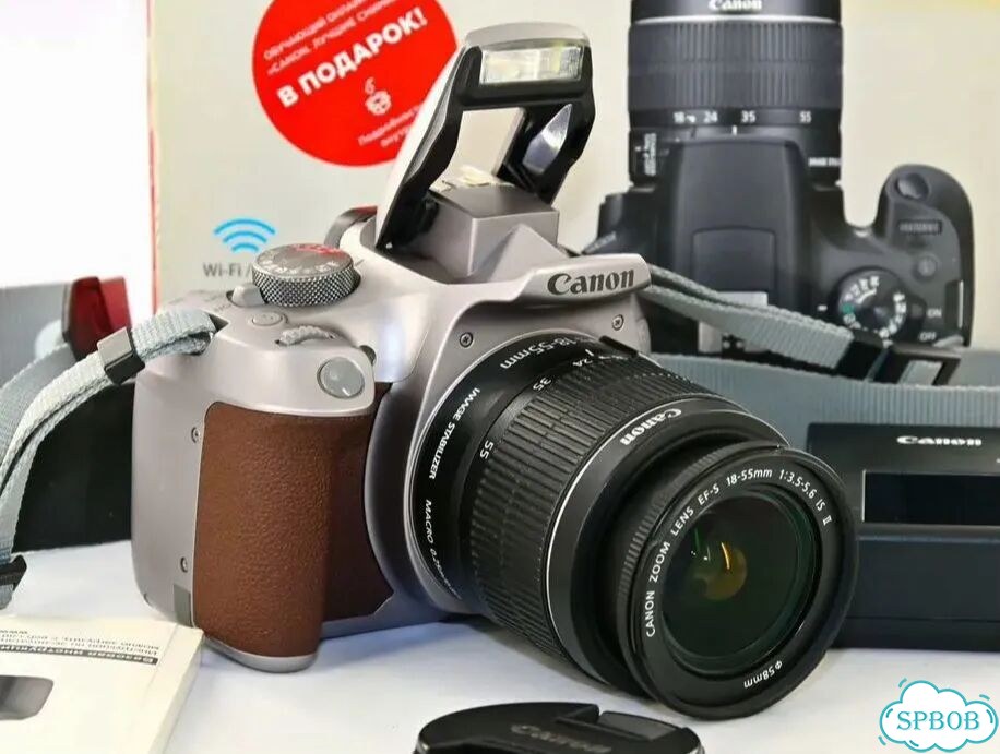 Canon EOS 1300D Steel Kit 18-55mm II WI-FI NFC фото 6