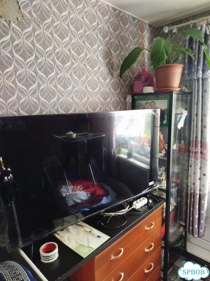 Haier 55 SMART tv s1 фото 1